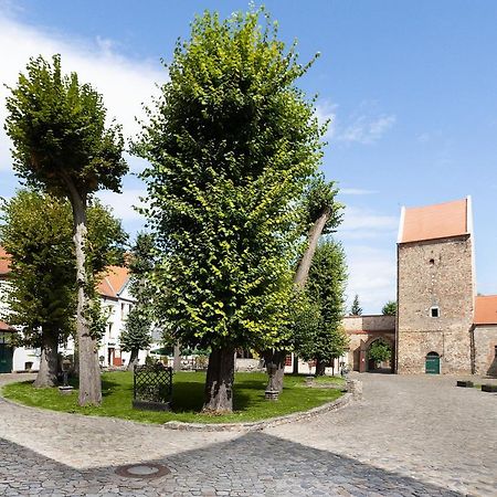 Wasserburg Zu Gommern المظهر الخارجي الصورة