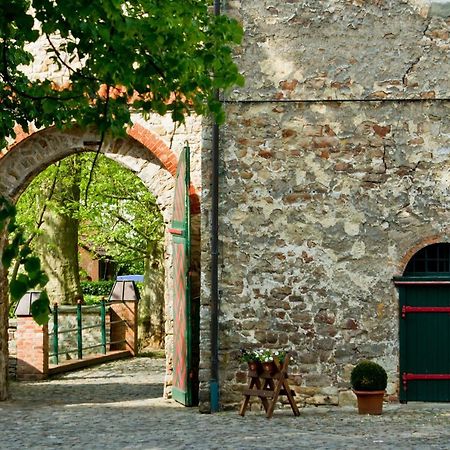 Wasserburg Zu Gommern المظهر الخارجي الصورة