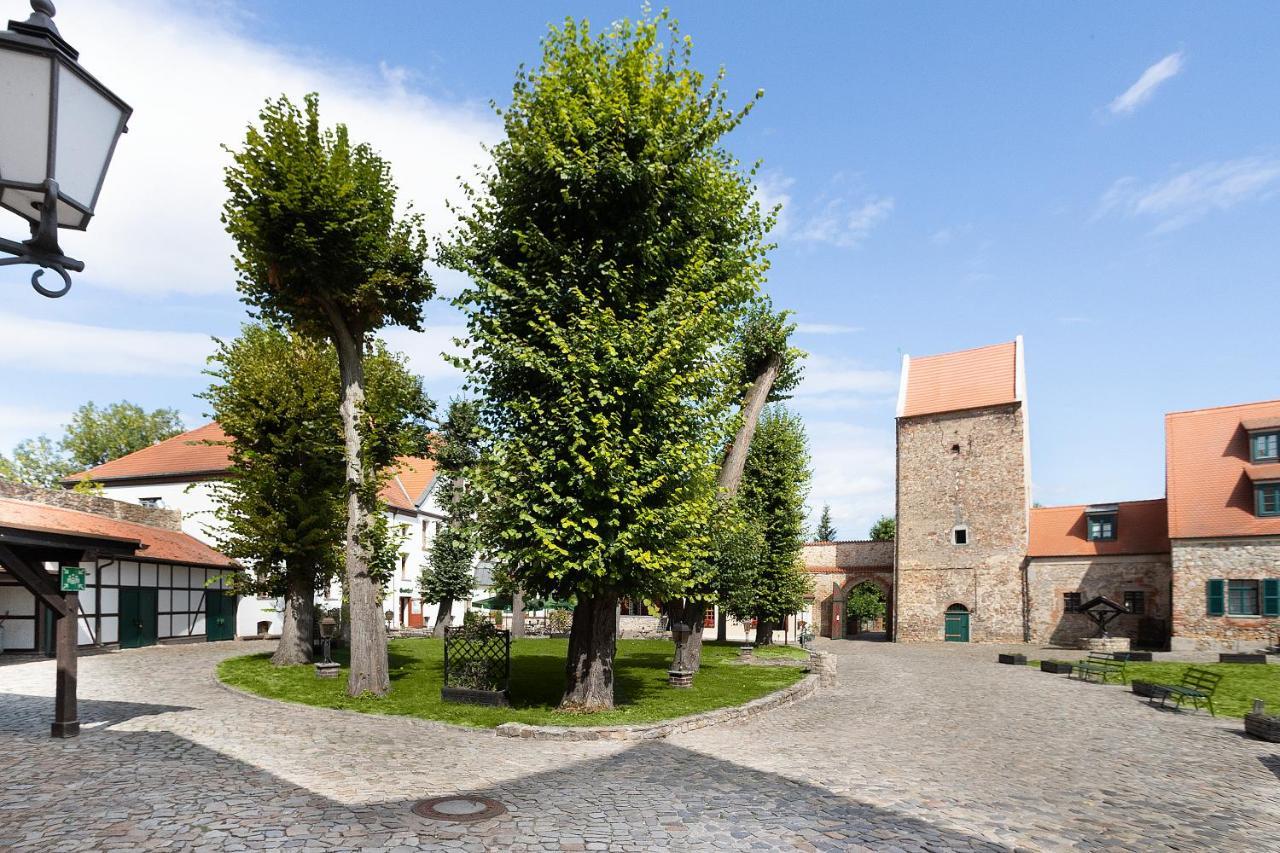 Wasserburg Zu Gommern المظهر الخارجي الصورة