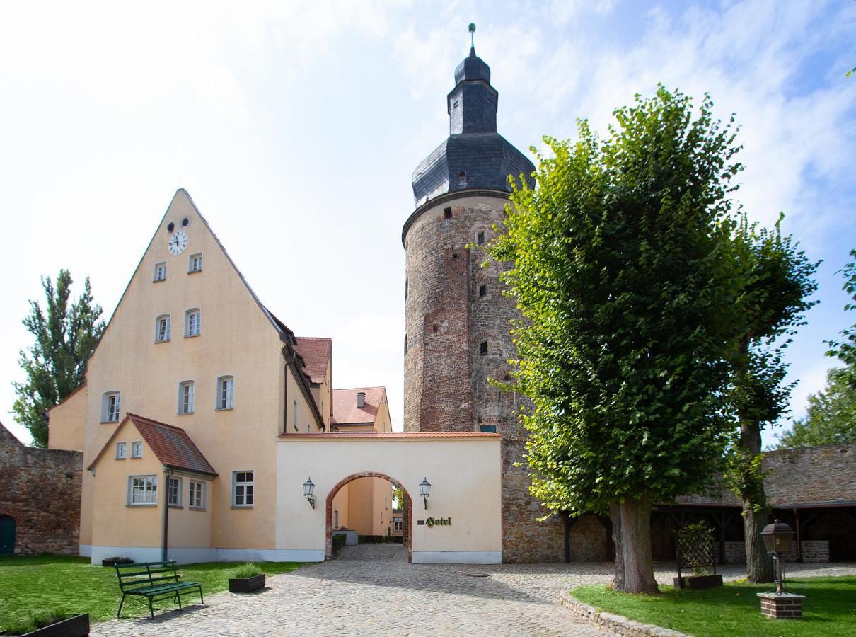 Wasserburg Zu Gommern المظهر الخارجي الصورة