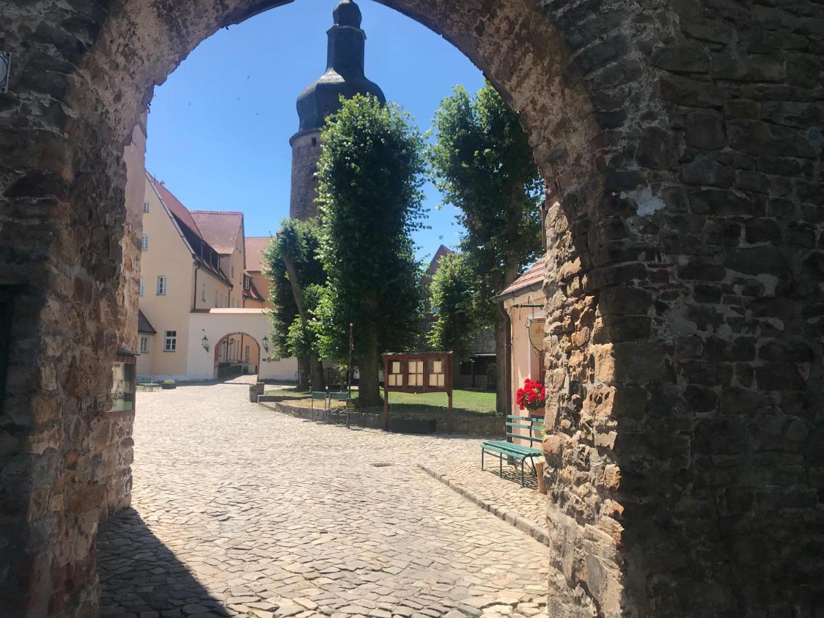 Wasserburg Zu Gommern المظهر الخارجي الصورة