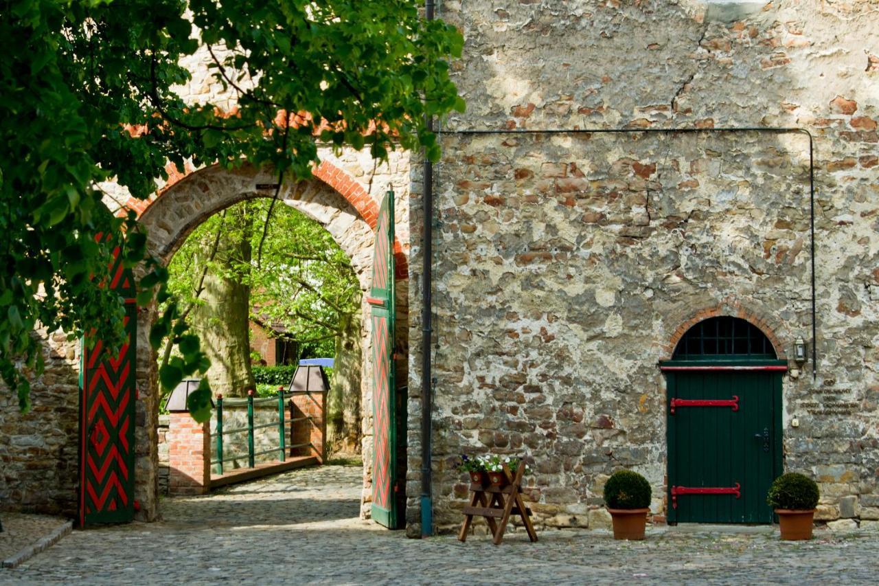 Wasserburg Zu Gommern المظهر الخارجي الصورة